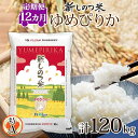 【ふるさと納税】北海道 定期便 12ヵ月 連続 全12回 R6年産 北海道産 ゆめぴりか 10kg 精米 米 白米 ごはん お米 新米 特A 北海道米 ブランド米 飯 お取り寄せ 1年 まとめ買い 新しのつ米 令和6年産 常温 送料無料　定期便　お届け：2025年1月中旬～下旬より発送