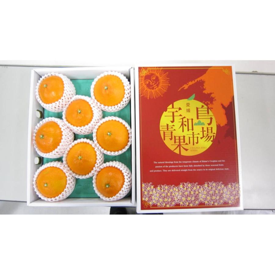 ＜宇和島青果＞せとか　2.5kg