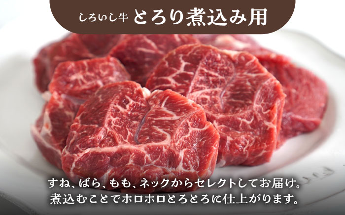 【牧場直送】食卓にうれしいバラエティ セット（手ごねハンバーグ 4個＆切り落とし 500g＆とろり煮込み用 700g）【有限会社佐賀セントラル牧場 [IAH193]