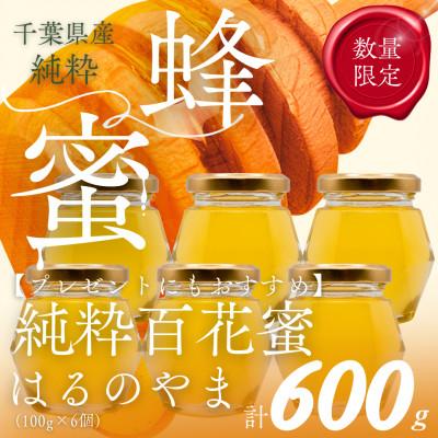 ふるさと納税 大網白里市 【数量限定】千葉県産「純粋はちみつ」はるのやま(百花蜜)100g×6個
