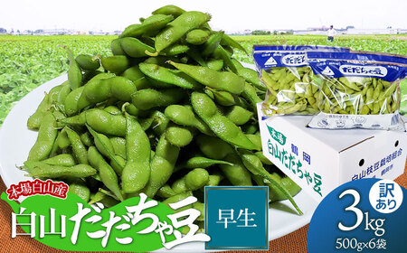 【令和7年産先行予約】本場白山産 濃厚だだちゃ豆 【訳あり】早生(わせ) 3kg（500g×6袋）　農家 長四郎