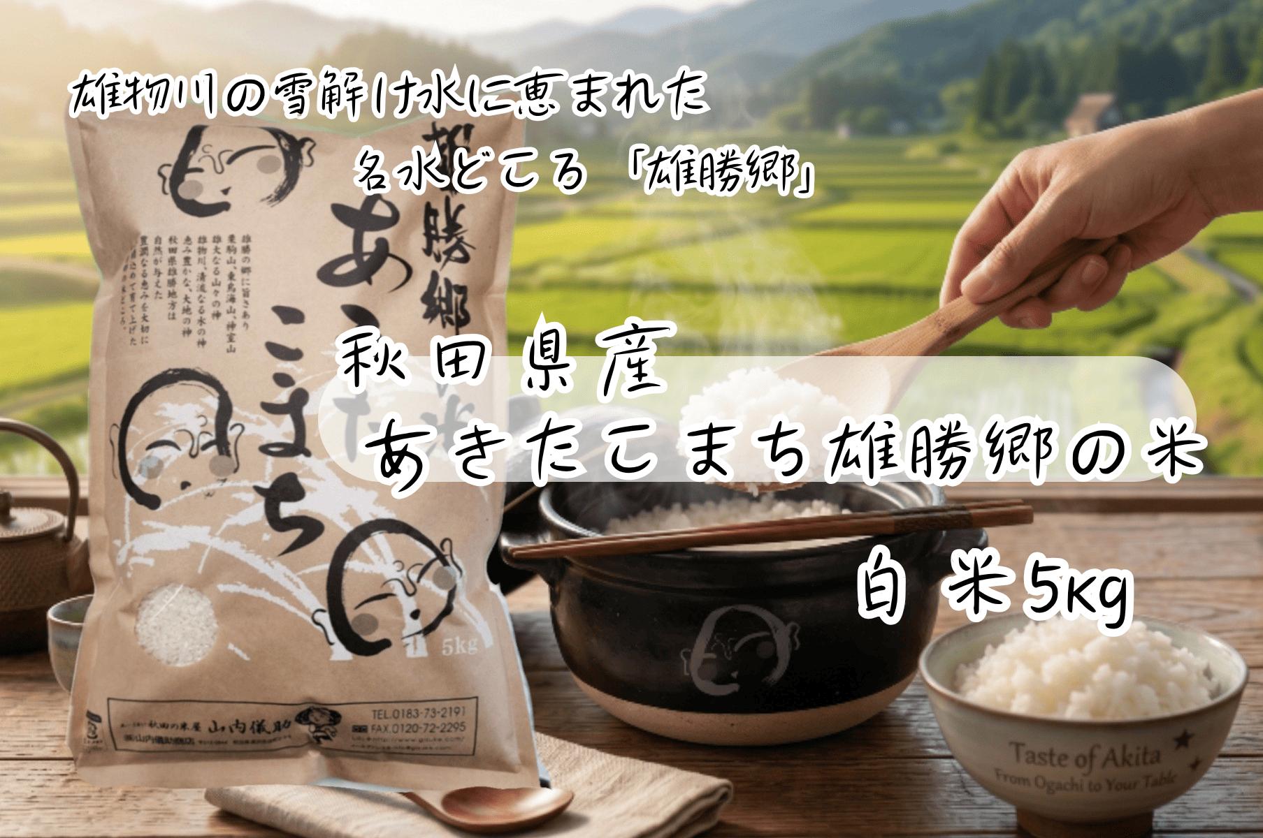 令和7年産 あきたこまち 雄勝郷の米 白米5kg ふるさと納税 秋田 米 あきたこまち お米【（株）山内儀助商店】[B2004]