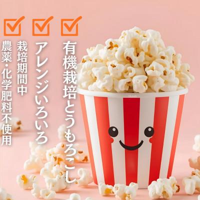 ふるさと納税 西桂町 【訳あり】作って楽しい!食べておいしい!有機栽培で作ったこだわりのポップコーン8袋(1袋100g) |  | 02