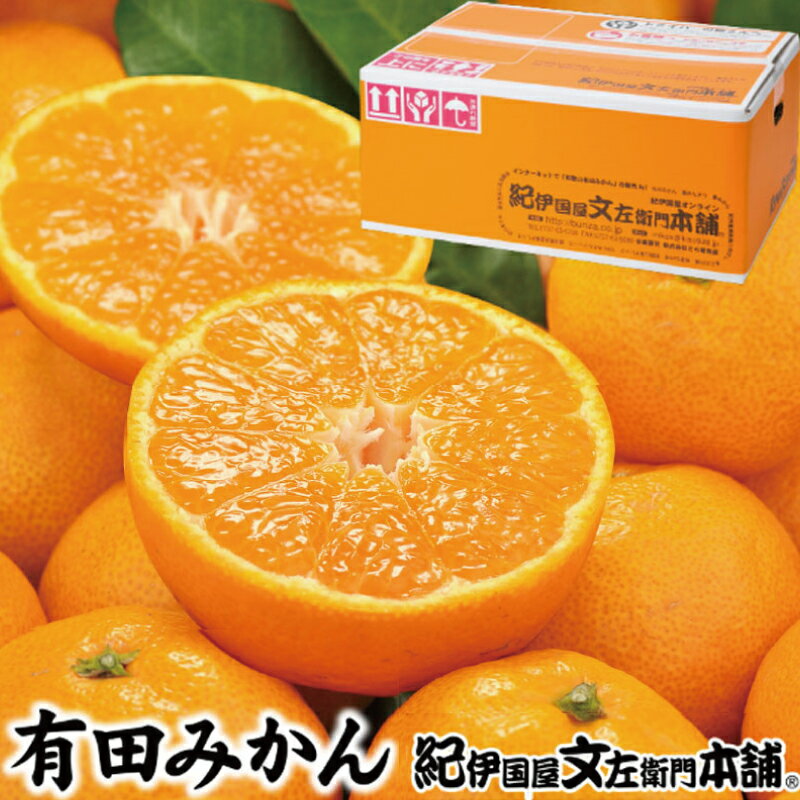 【ふるさと納税】 ブランド有田みかん【L】秀品10kg /産地直送／薄皮で甘い美味しい和歌山県産／紀伊国屋文左衛門本舗 ※2026年11月上旬〜2027年1月中旬頃に順次発送（お届け日指定不可）