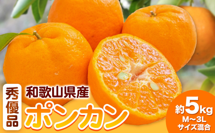 
                  和歌山県産ポンカン 約 5kg 秀優品 (M～3Lサイズ混合) 厳選館 《2月上旬-3月上頃出荷》和歌山県 日高町 柑橘 ポンカン ぽんかん フルーツ 秀品 優品
                