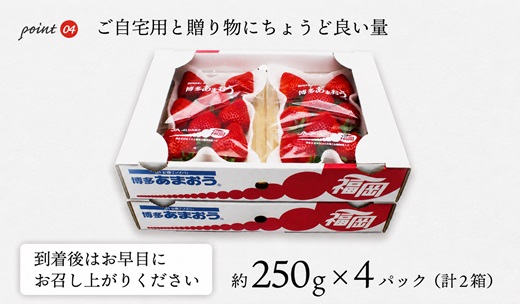 【2027年2月より順次発送】博多あまおう4パック 約1kg[H2243]