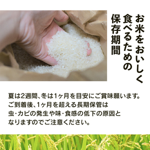 米 こしひかり 特別栽培米 令和7年産 米 20kg 玄米 コシヒカリ 2025年産 国産 農家直送 環境こだわり 小分け お米 こめ おこめ 先行予約 農家直送 産地直送 滋賀県 竜王町      
