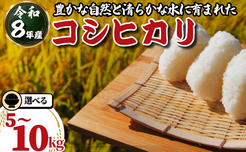 
                  令和8年産 米 コシヒカリ 選べる 5kg 10kg 白米 ご飯 おにぎり お弁当 ギフト 贈答 プレゼント お取り寄せ グルメ 先行予約 送料無料 5キロ 10キロ ５キロ １０キロ 徳島 小松島
                
