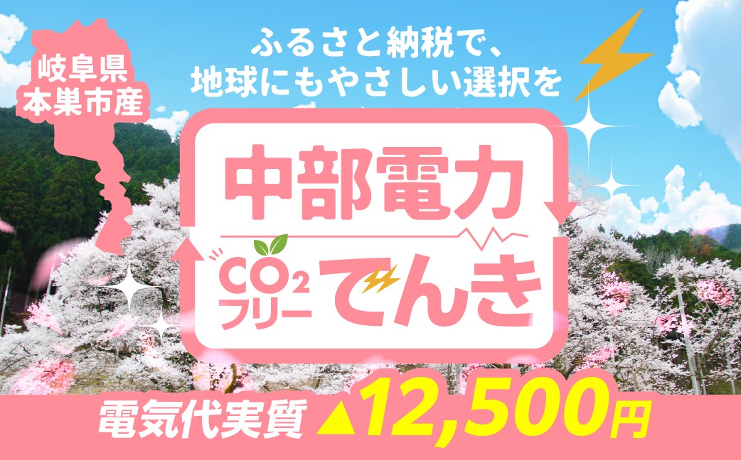 
            本巣市産 CO2 フリーでんき 50,000円コース（電気代実質マイナス12,500円）（注：お申込み前に申込条件を必ずご確認ください）中部電力ミライズ 電気 電力 中電 中部電力 中部 電気代 電気料金 岐阜県 愛知県 三重県 静岡県 長野県 ふるさと でんき【会員限定のお礼の品】
          