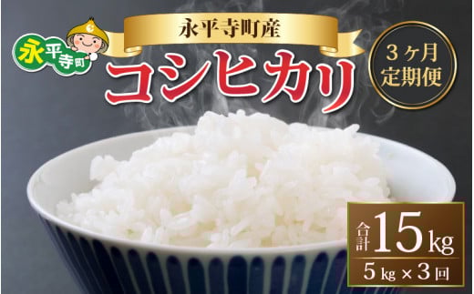 【先行予約】【3ヶ月定期便】【白米】 令和7年度産 永平寺町産 コシヒカリ 5kg×3ヶ月（計15kg）【10月上旬より順次発送開始予定】５キロ 頒布会 米 精米 米 お米 コメ 送料無料 こしひかり 福井  [D-033083]