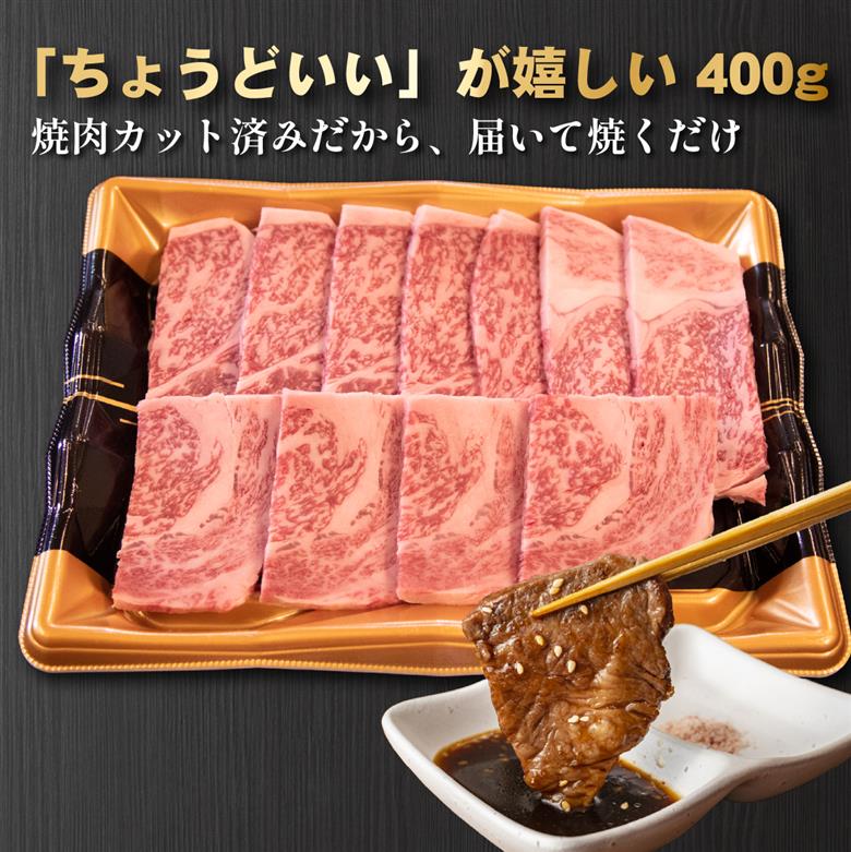 A4等級以上宮崎牛おためし肩ロース（焼肉用）400g  国産 牛肉 黒毛和牛 宮崎牛 焼肉 内閣総理大臣賞 焼肉 和牛焼肉 牛肉焼肉 ロース焼肉 国産焼肉 400g