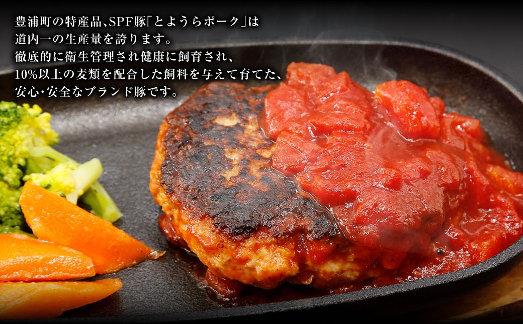 とようらポークひき肉小分け北海道豊浦産SPF豚300g×5パック