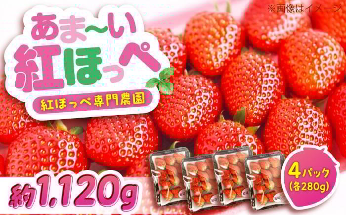 
                  いちご【2026年1月上旬より順次発送】産地直送 いちご 【紅ほっぺ】280g×4パック<立花いちご農園>福山市 いちご 苺 itigo ITIGO ichigo イチゴ 紅ほっぺ べにほっぺ フルーツ 果物 産地直送 280g 4パック おすすめ 人気 旬 季節限定 デザート スイーツ 贈り物 ギフト 贈答  新鮮 甘い 大粒 お取り寄せ 詰め合わせ セット 完熟 ジューシー[BAFN001]
                