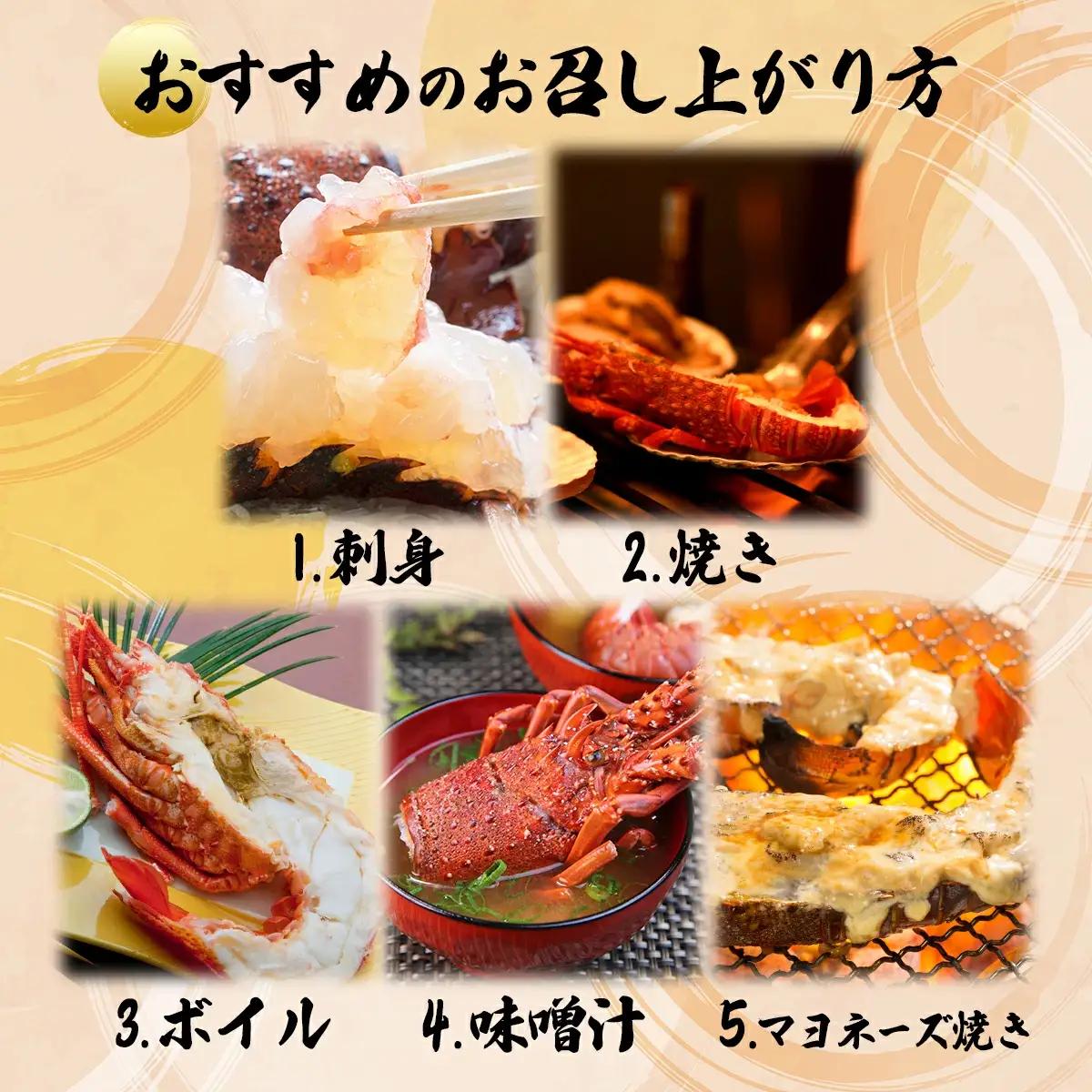 超BIG伊勢海老＜1匹＞【冷凍】 S201 【株式会社森海家】