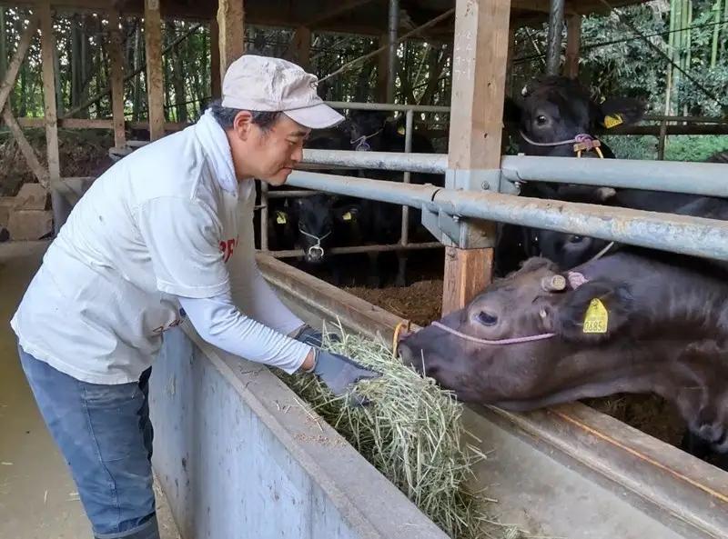 ＜なかむら謹製＞【博多和牛】黒毛和牛ロースしゃぶしゃぶ用うす切り2.4kg【K-031】