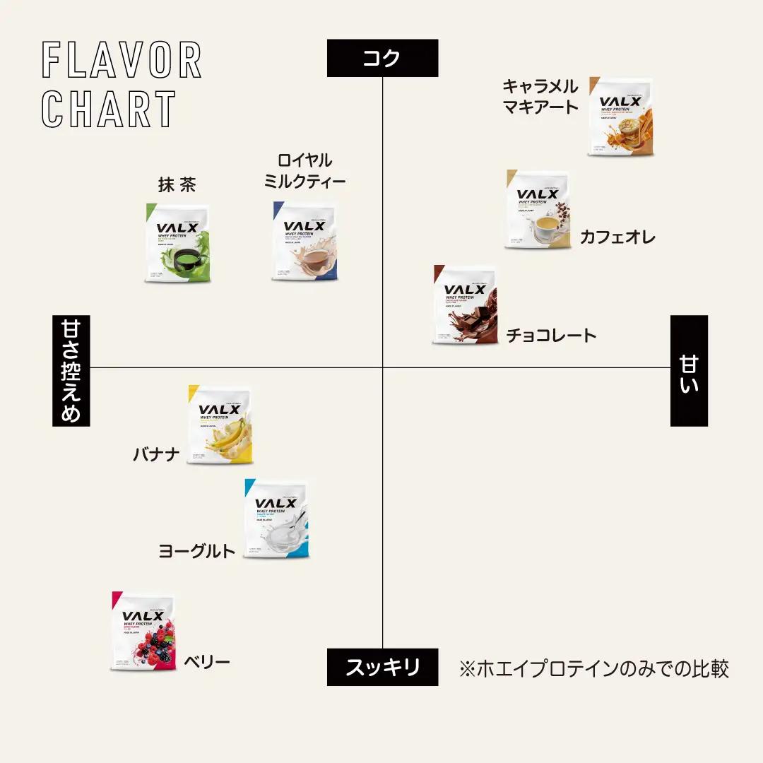 【最短5営業日以内発送】VALX ホエイプロテイン 1kgチョコレート風味