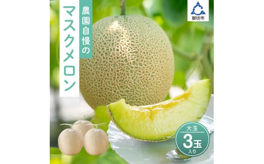 農園自慢の「マスクメロン」大玉×3玉入り《先行予約》2026年6月下旬から順次発送【配送不可地域：北海道 ・青森・秋田・岩手・沖縄・離島】