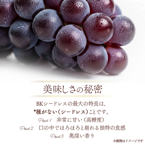 ぶどう BKシードレス 種なし 計約1kg 2房 ぶどう