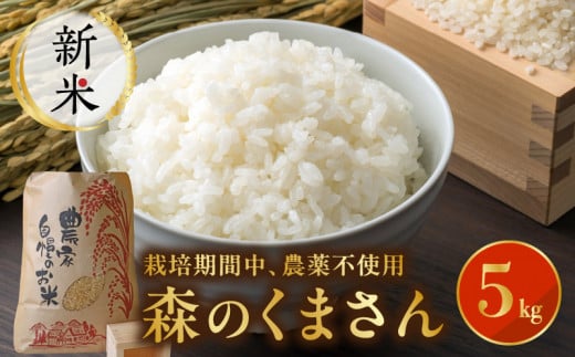 85-13_1　【先行予約】＼☆新米☆／えのしまファーム　森のくまさん　白米5kg　栽培期間中農薬不使用！