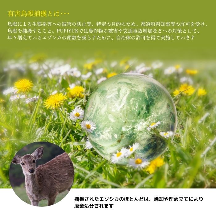 エゾ鹿肉ギフトセットB【PIPIYUK】ジビエ 鹿肉 鹿 蝦夷鹿 シカ ジャーキー 干し肉 ウインナー フランクフルト ジンギスカン ギフト セット 詰め合わせ 北海道 比布町 ぴっぷ 1023-02