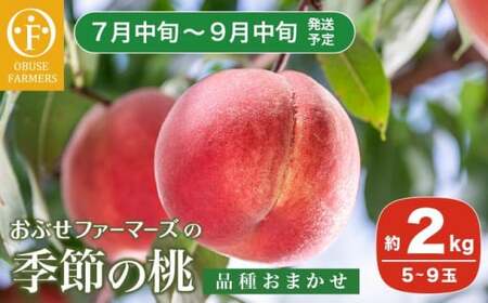季節の桃 約2kg 5～9玉［ おぶせファーマーズ ］桃 もも モモ ピーチ フルーツ 果物 たまき なつき あかつき 川中島白鳳 なつっこ 川中島白桃 黄金桃 だて白桃 先行予約 長野県産 信州産 クール便 冷蔵便 お取り寄せ 産地直送 数量限定 産地 直送 令和8年産【2026年7月中旬～9月中旬発送】［F-61］