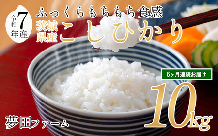米 【 6カ月 定期便 令和7年産コシヒカリ10kg 】 夢田ファーム コシヒカリ