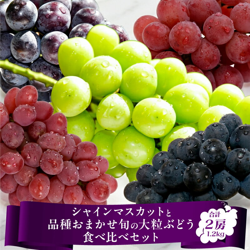 【ふるさと納税】【先行予約】令和8年産 シャインマスカット と 品種おまかせ ぶどう 食べ比べセット 計1.2kg以上（2房） 2026年産 山形県産 【2026年9月上旬頃〜10月中旬頃発送予定】※配送不可 沖縄・離島 果物 ぶどう 葡萄 フルーツ ブドウ 詰め合わせ 産地直送