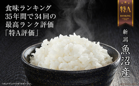  無地のし 無洗米 令和6年産 新潟県 魚沼産 コシヒカリ お米 2kg  精米済み お米 こめ 白米 新米 こしひかり 送料無料 魚沼 十日町