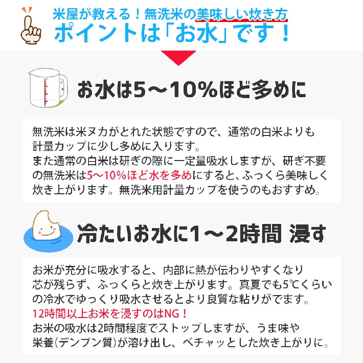 無洗米 庄内産はえぬき5kg×1袋（令和6年産米）