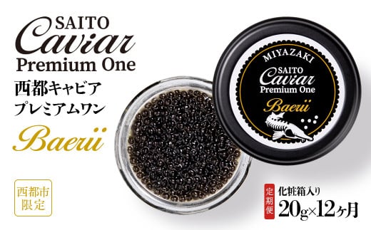 【12ヶ月定期便】「SAITO CAVIAR PREMIUM ONE BAERII」20g×12ヶ月　西都市オリジナルキャビア　鮎のよしの＜25-21a＞