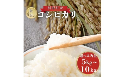 
                  利根町産　コシヒカリ　精米　5～10kg ／ 米 こめ コメ お米 おこめ コシヒカリ こしひかり 令和7年産 新米 精米 白米 ごはん ご飯 5kg 10kg 茨城県 利根町 産地直送 送料無料
                