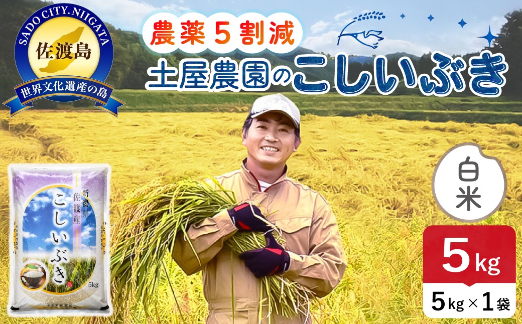 
                  佐渡島産こしいぶき 白米5kg 令和7年産 農薬・化学肥料5割減 単一原料米 農家直送 | 新潟県産こしいぶき 新潟産こしいぶき 佐渡産こしいぶき こしいぶき コシイブキ お米 米 白米 精米 ブランド米 おこめ コメ 5キロ あっさり 丼もの 世界農業遺産 にいがた さど 新潟県 佐渡市
                