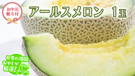 【お中元 熨斗付】 アールスメロン 1個 【7月より発送開始】 