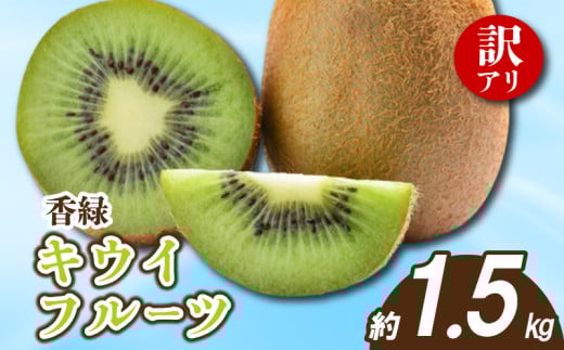 先行予約 キウイ 訳あり 約1.5kg キウイフルーツ グリーンキウイ サイズ混合 香緑キウイ 果物 果実 フルーツ 旬 デザート 選べる 容量 12月～1月下旬 配送 家庭用 贈答用 ギフト プレゼント 香川県 丸亀市