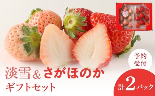 【配送時期が選べる】★予約受付★杉山いちご農園 白いちご「淡雪（あわゆき）」と「さがほのか」ギフトセット　2026年1月～5月までに順次配送