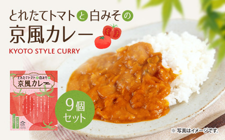 とれたてトマトと白みその京風カレー9個セット AA37 