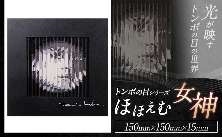 
                  アート作品 トンボの目シリーズ ほほえむ女神 150mm×150mm×15mm ホシカ・アート・プロ 芸術作品 錯視 アート 芸術品 インテリア 壁掛けパネル
                
