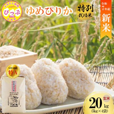 ふるさと納税 比布町 【先行受付】【西間農園】 特別栽培米 ゆめぴりか みがき玄米 20kg【11月から12月上旬発送】