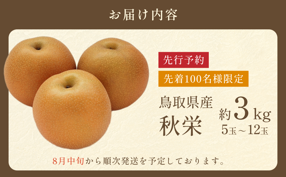 【2026・先行予約】秋栄（あきばえ）3kg｜鳥取 果物 フルーツ なし 梨 2026年収穫後【41034】
