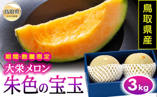 鳥取県産朱色の宝玉（大栄メロン）3kg【期間･数量限定】_T2600612 ふるさと納税 鳥取 メロン フルーツ 果物 数量限定 特産品 お取り寄せ おすすめ ギフト