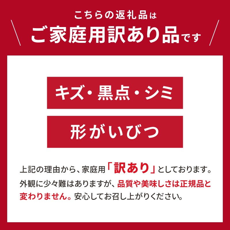 【2027年発送 先行予約品】