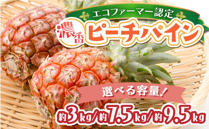 
            ＜選べる容量＞濃香ピーチパイン 約3kg〜9.5kg 【E】★絶品★　2026年 先行予約 栽培期間中 農薬不使用 西表島 濃香 初エコファーマー認定【036-a002/036-a005/036-a008】
          