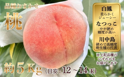 桃（品種おまかせ：白鳳、なつっこ、川中島　のいずれか）約5kg（目安：12～14玉） ※2026年7月～発送