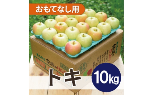 ＜26年10月から順次発送＞平均糖度12度以上! トキ 約10kg おもてなし用 青森県産 りんご【1734964】