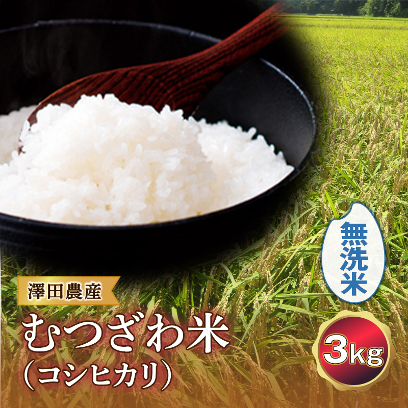 令和5年産米 むつざわ米 （コシヒカリ） 無洗米 3kg 澤田農産 F21G-179