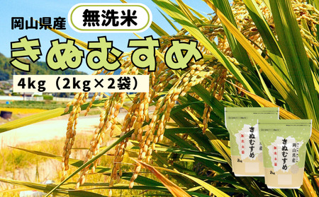 【令和7年産】無洗米 きぬむすめ 4kg 2kg×2袋 岡山県産 【先行予約 2025年11月上旬から順次発送】