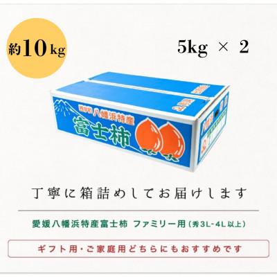 ふるさと納税 八幡浜市 《八幡浜特産 国内最大級の 柿》 富士柿 10kg (5kg×2箱)種無し【H20-37】 |  | 03