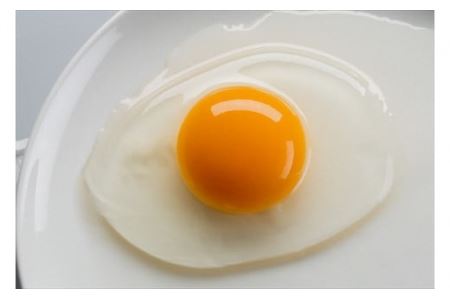 【１２ヶ月定期便】丹波奥郷の卵 やまぶき ４５個+５個破卵補償 (約3L）　たまご