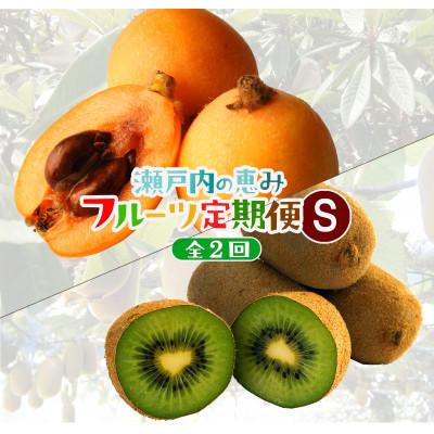 ふるさと納税 高松市 【発送月固定定期便】高松市自慢のフルーツ【S】全2回