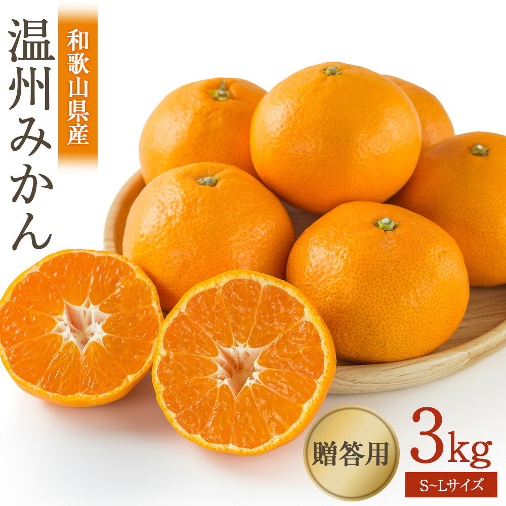 【ふるさと納税】［先行予約］贈答向け 温州みかん 約3kg S~Lサイズ混合 ［2025年11月下旬頃から順次発送予定］ | みかん 蜜柑 フルーツ 果物 くだもの 食品 人気 おすすめ 送料無料 産地直送